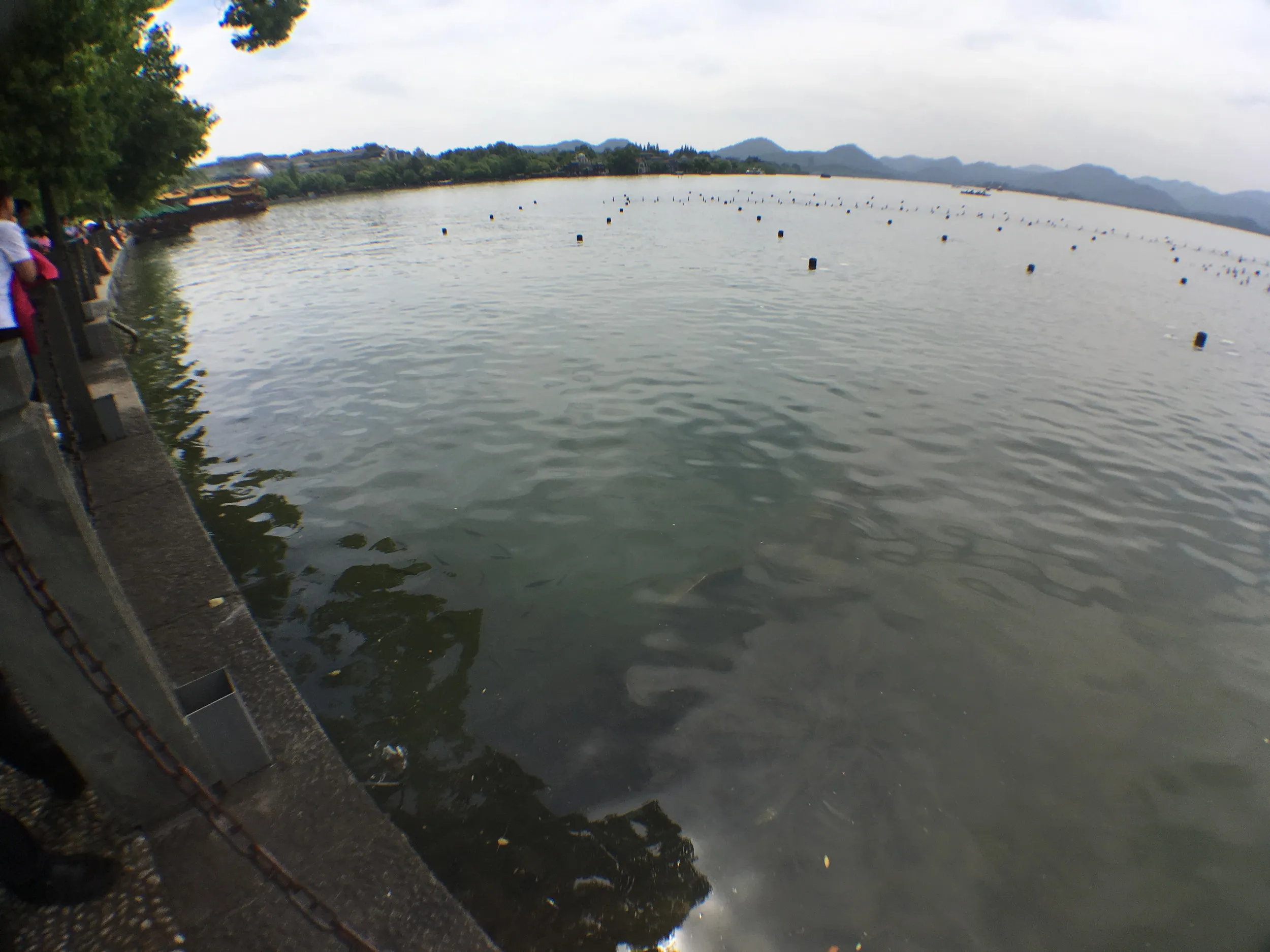 西湖の風景