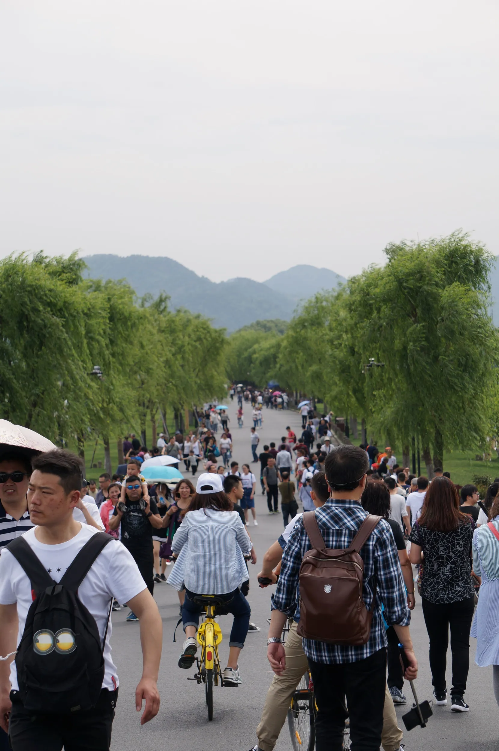 白堤の風景