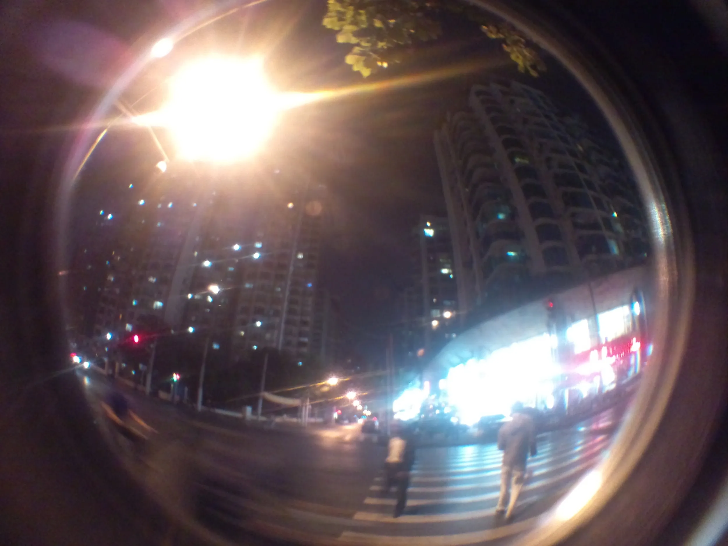 コアラ(Koala)考拉国際青年旅舎付近の夜景