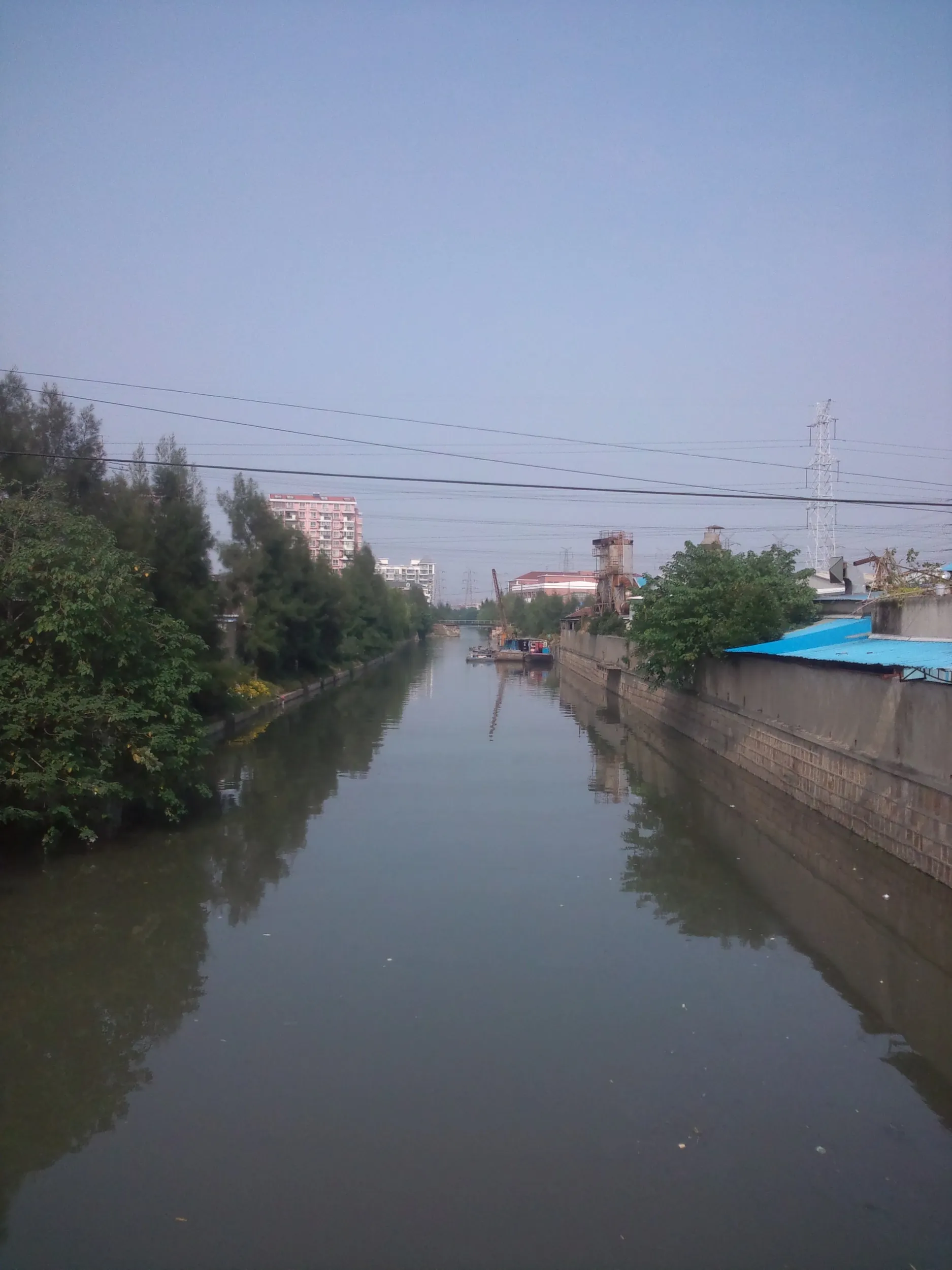 職場近くのどぶ川