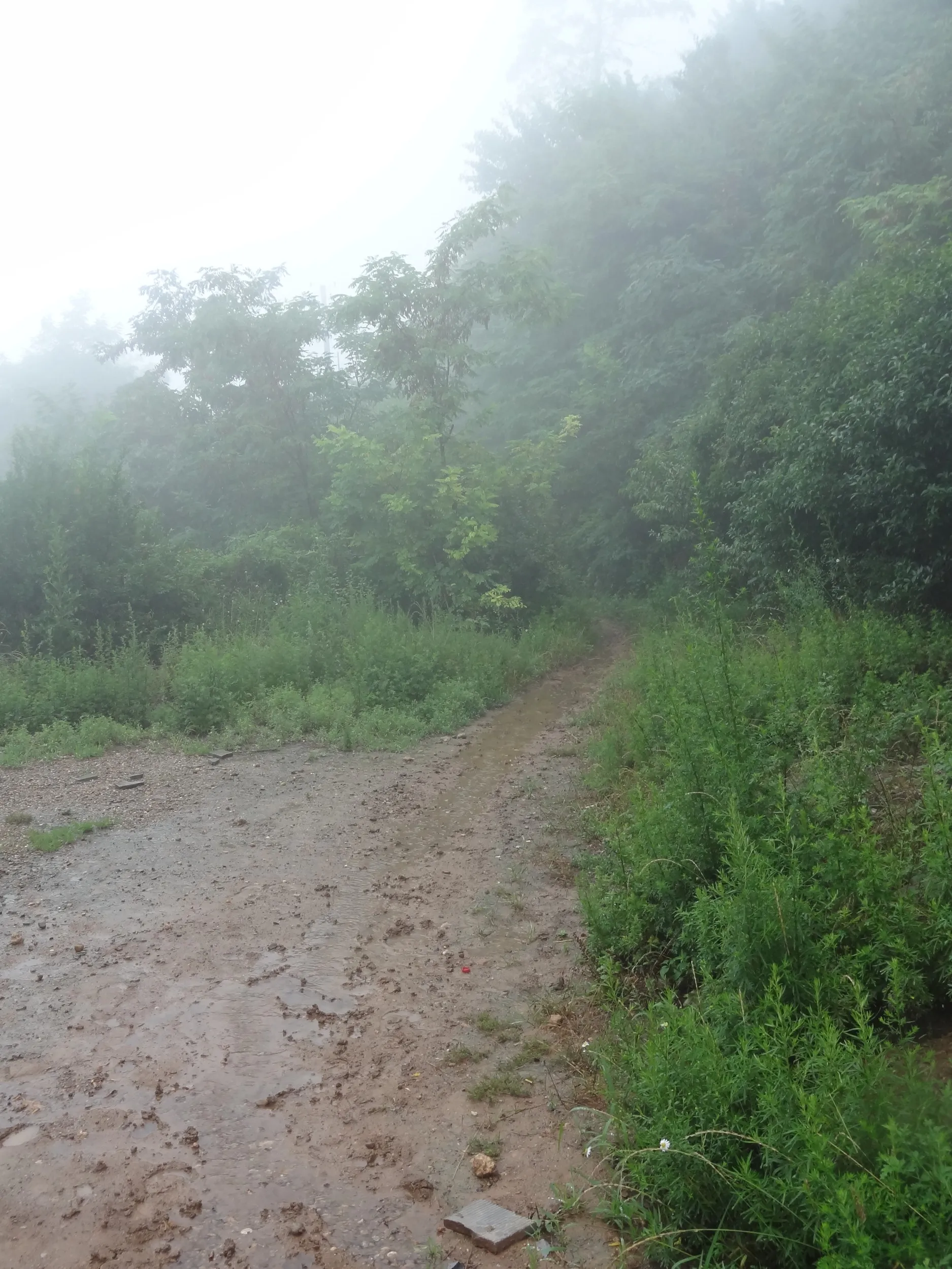 泥でぬかるんだ山道