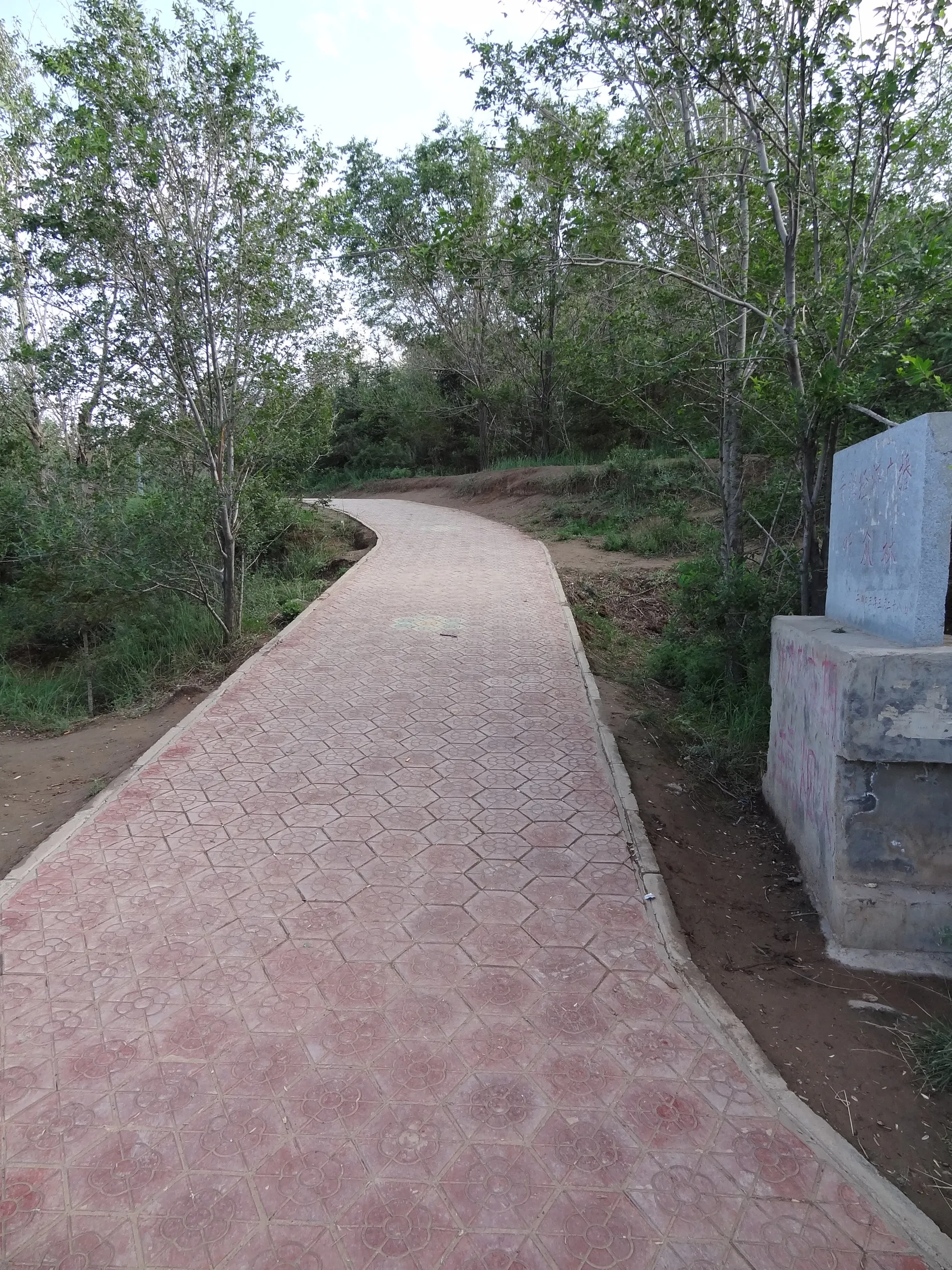 南山公園の道