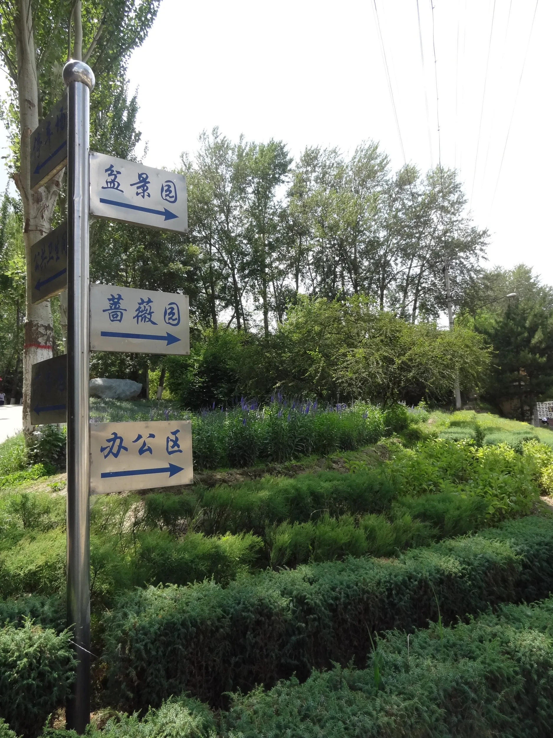 案内板