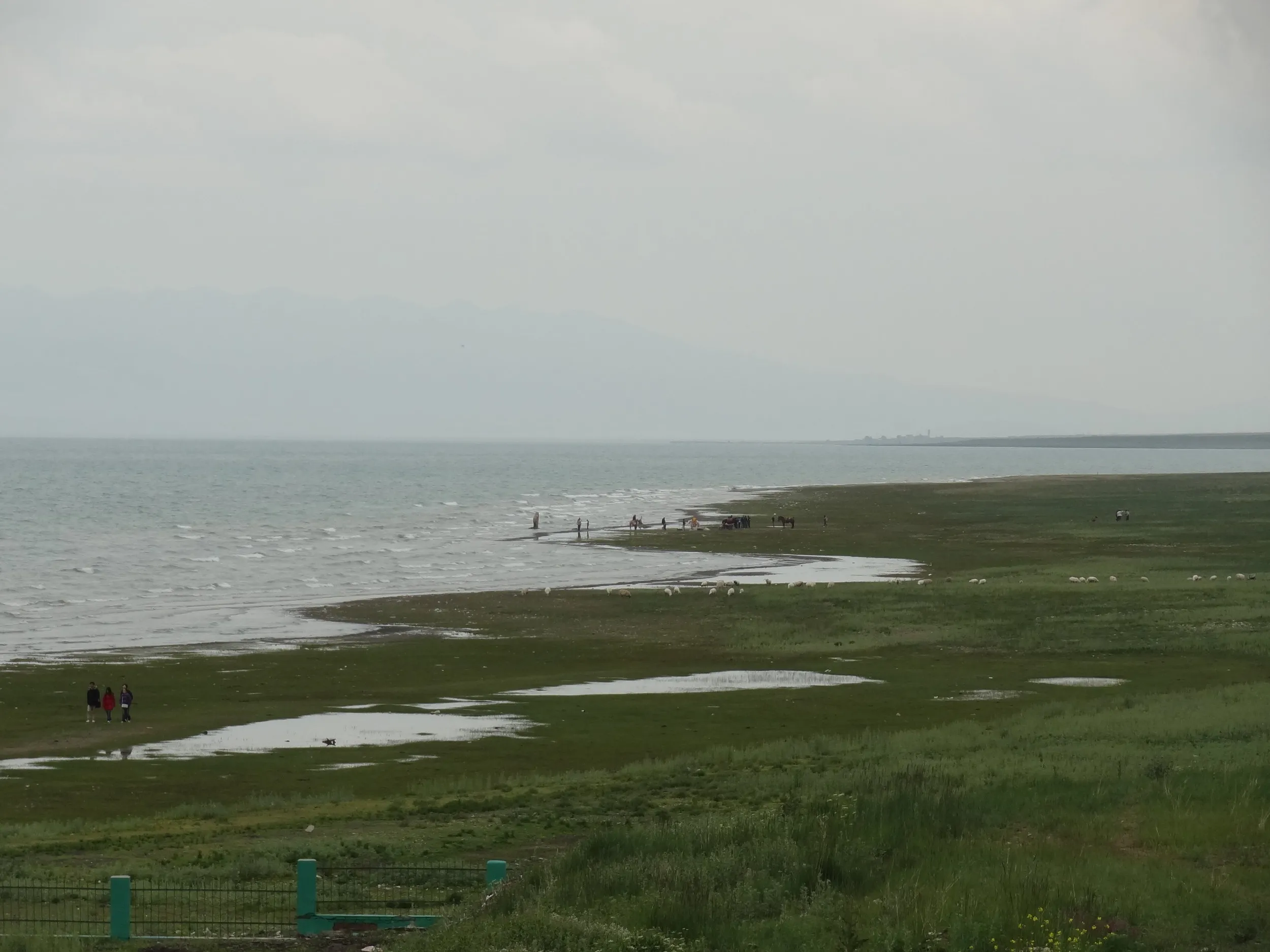 青海湖の湖畔