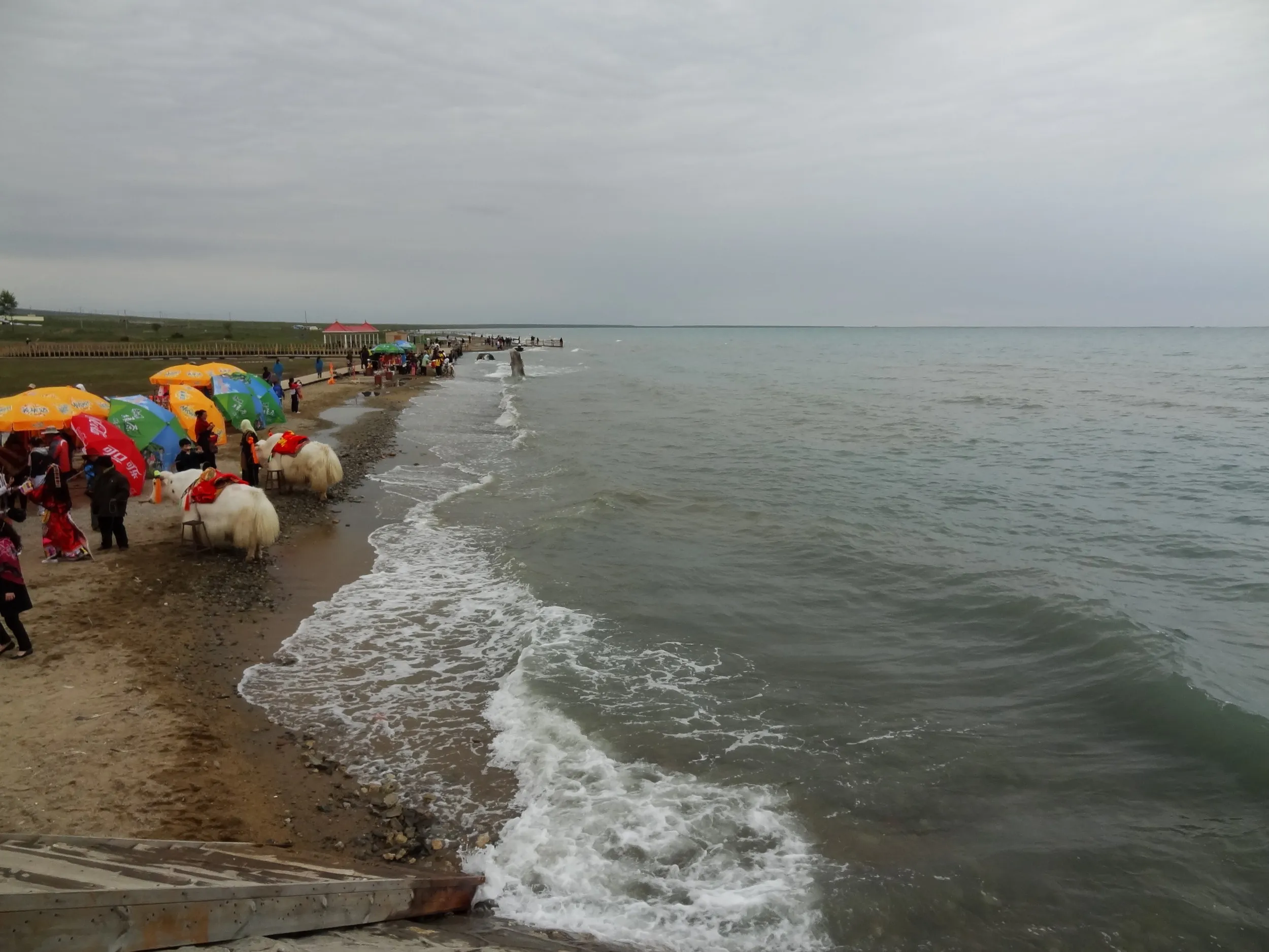 ビーチのような青海湖