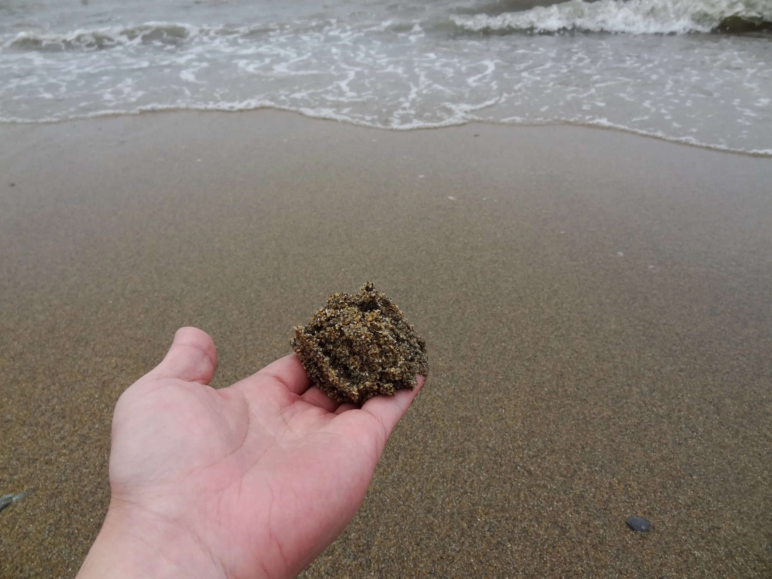砂浜の砂