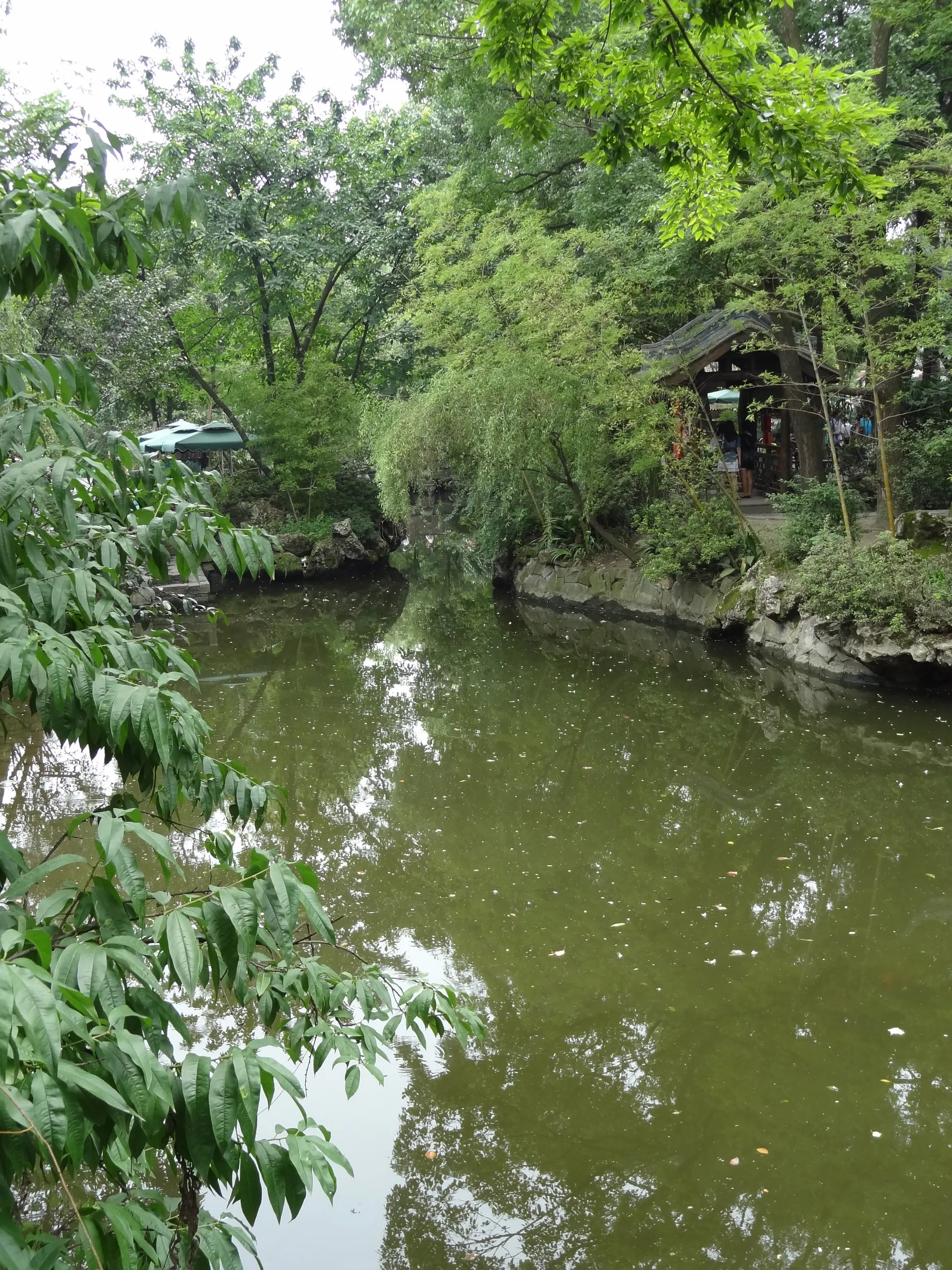 中国庭園の池