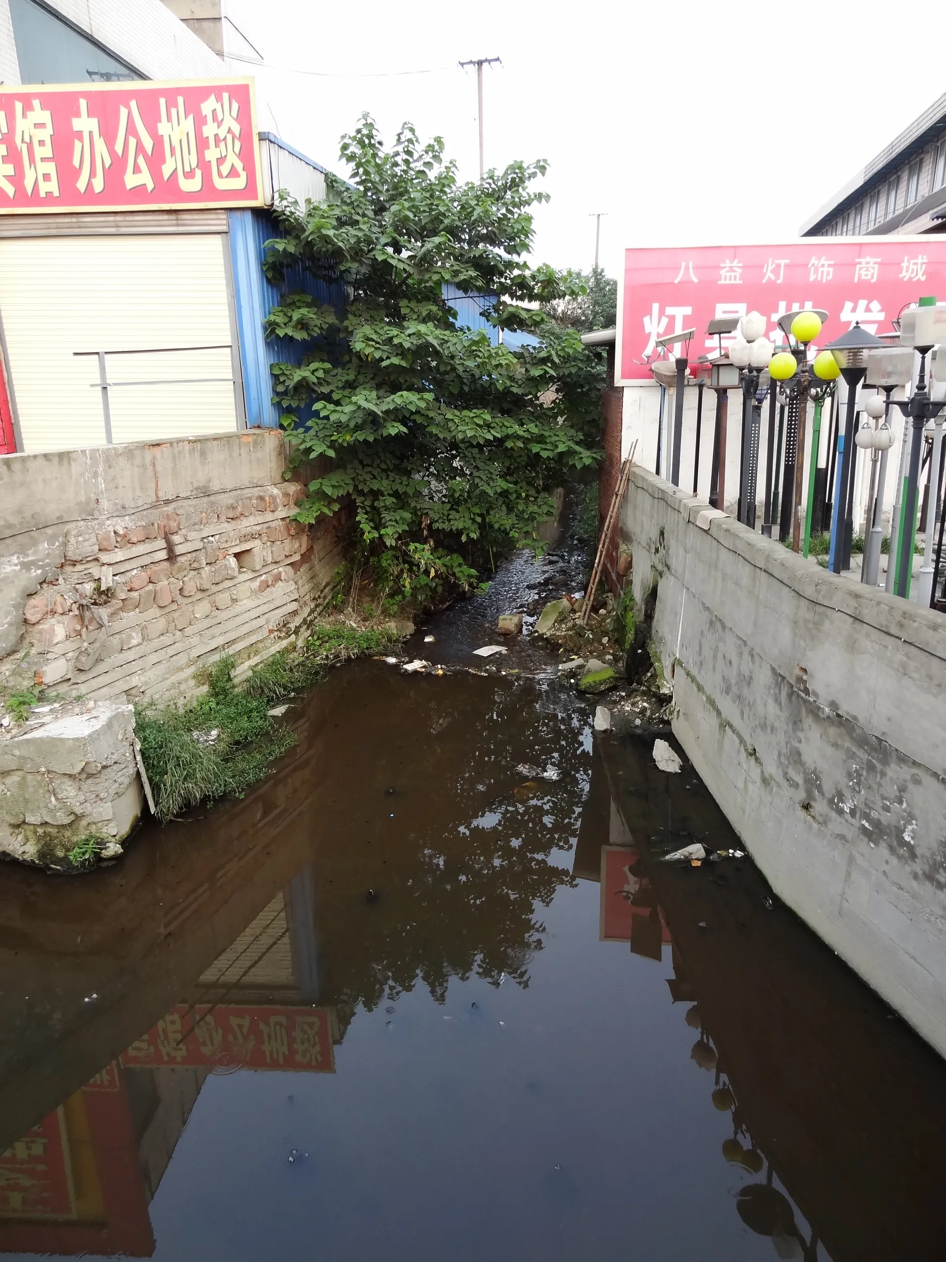 郊外のどぶ川