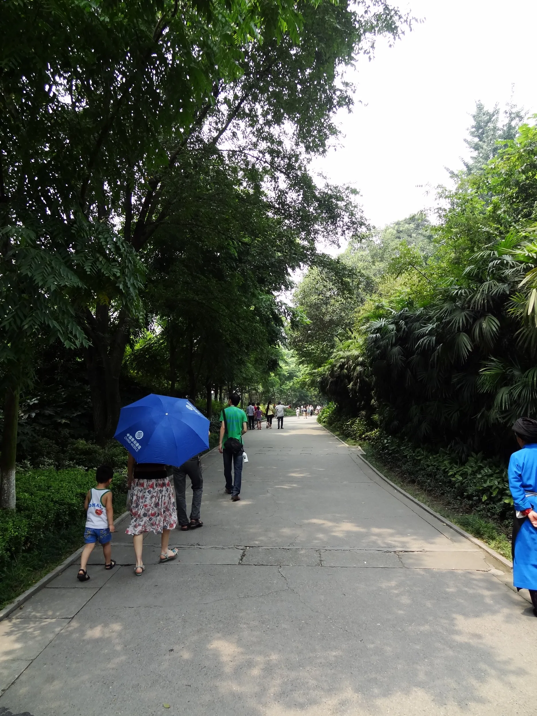 成都動物園内の風景