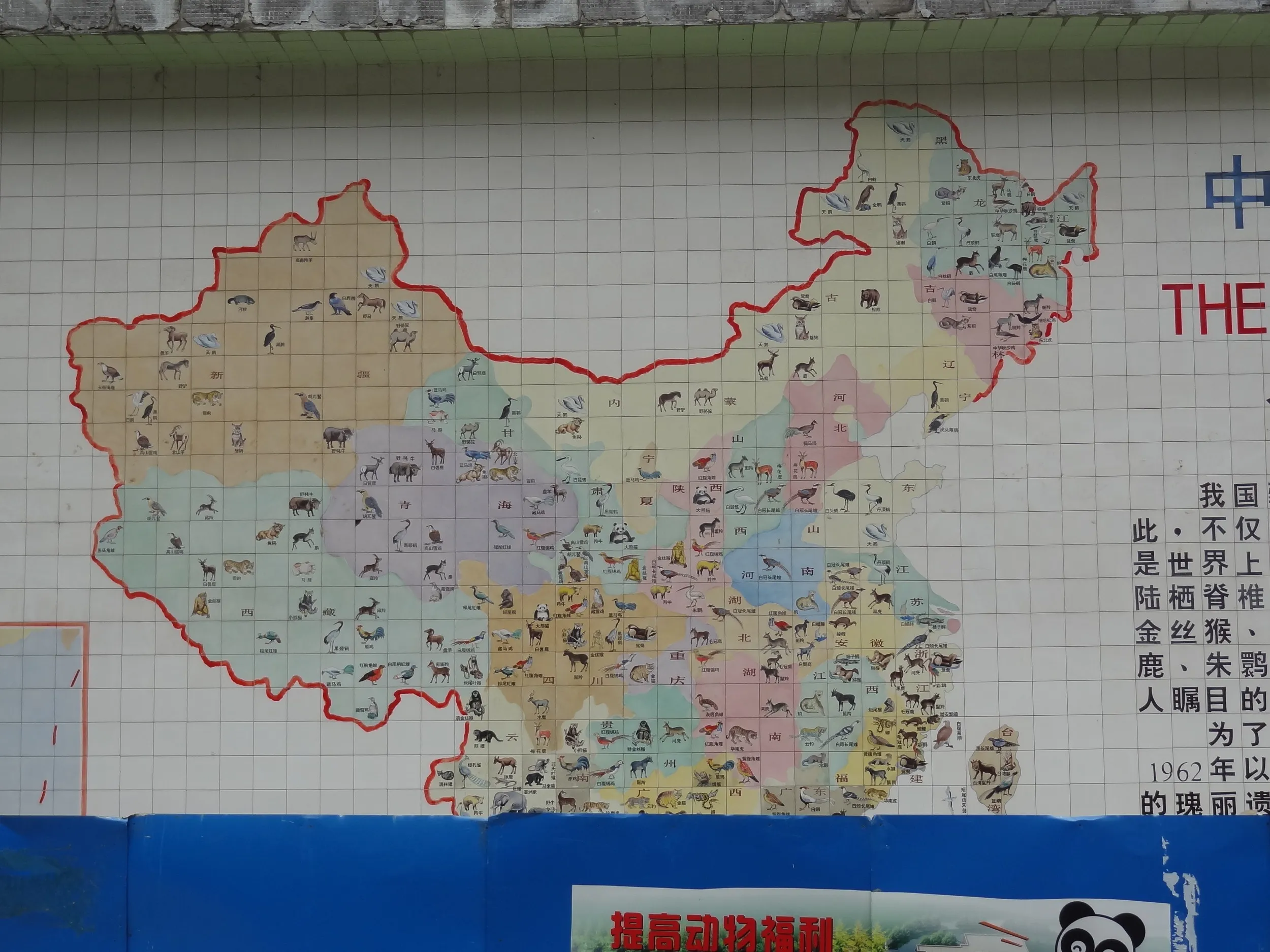 動物が描かれた地図