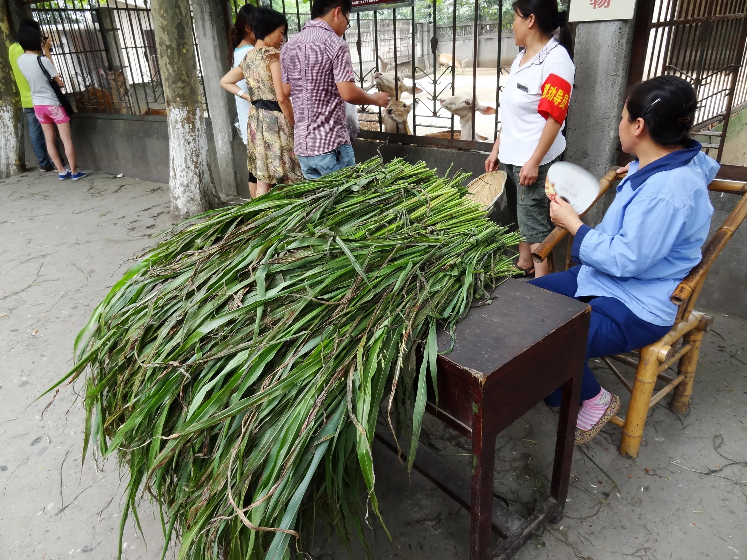 草の販売