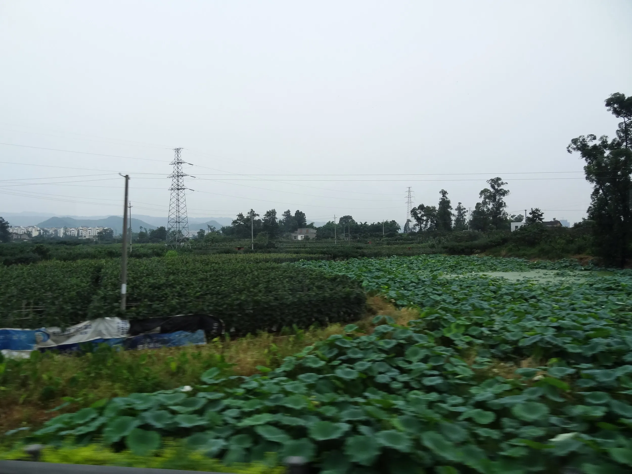 車窓風景