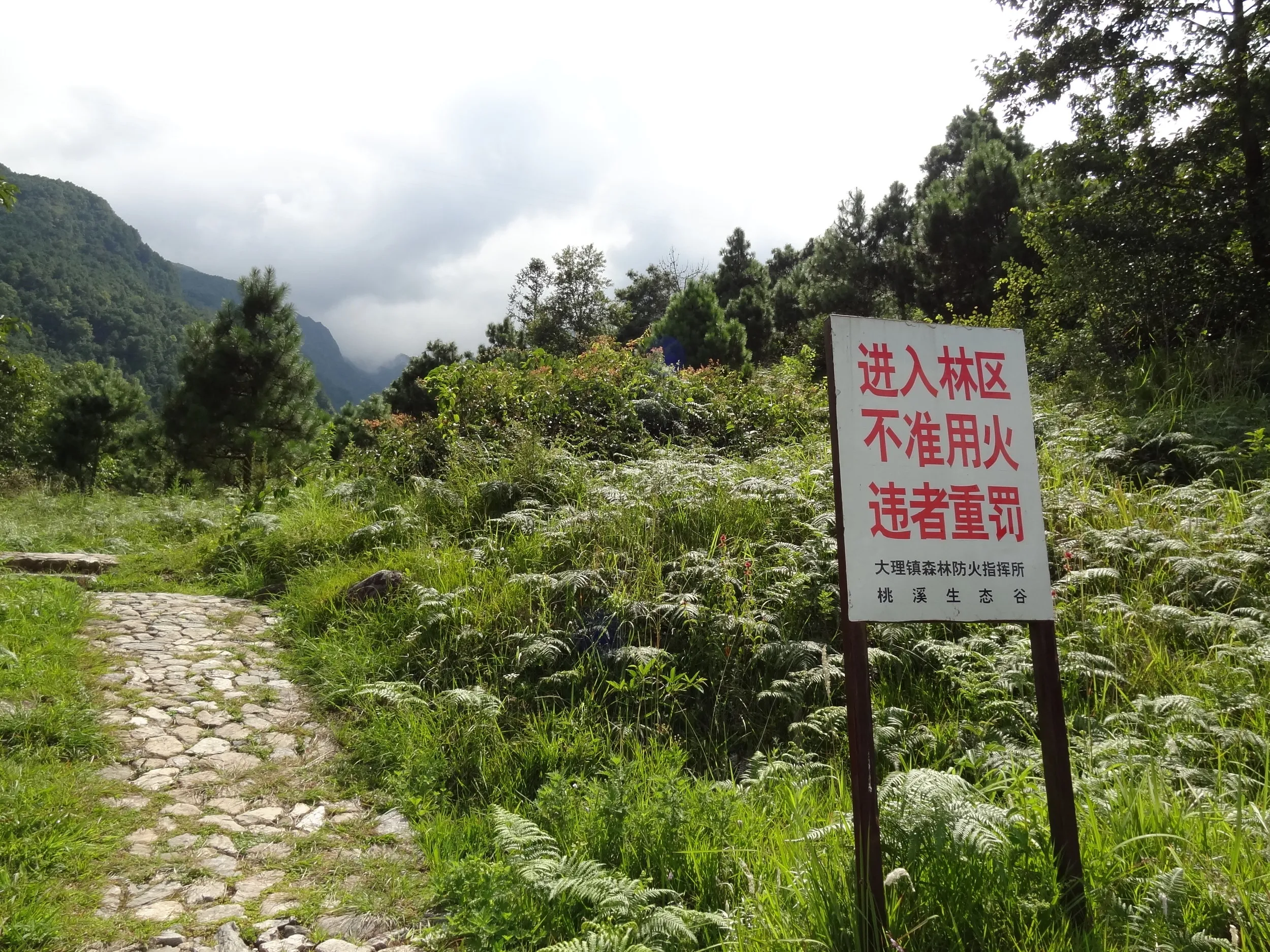 蒼山の桃渓谷の山道