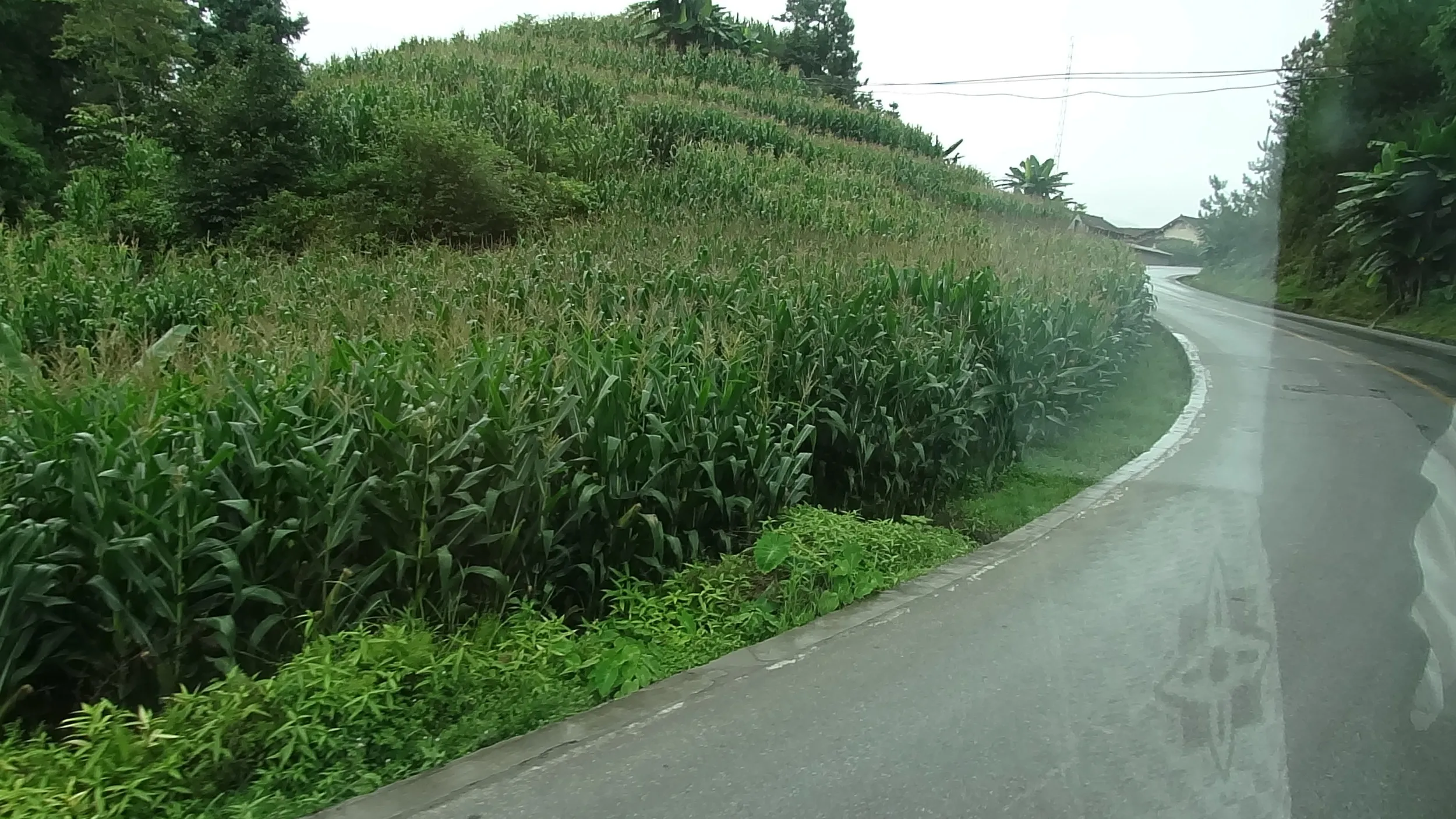 一般道へ入る