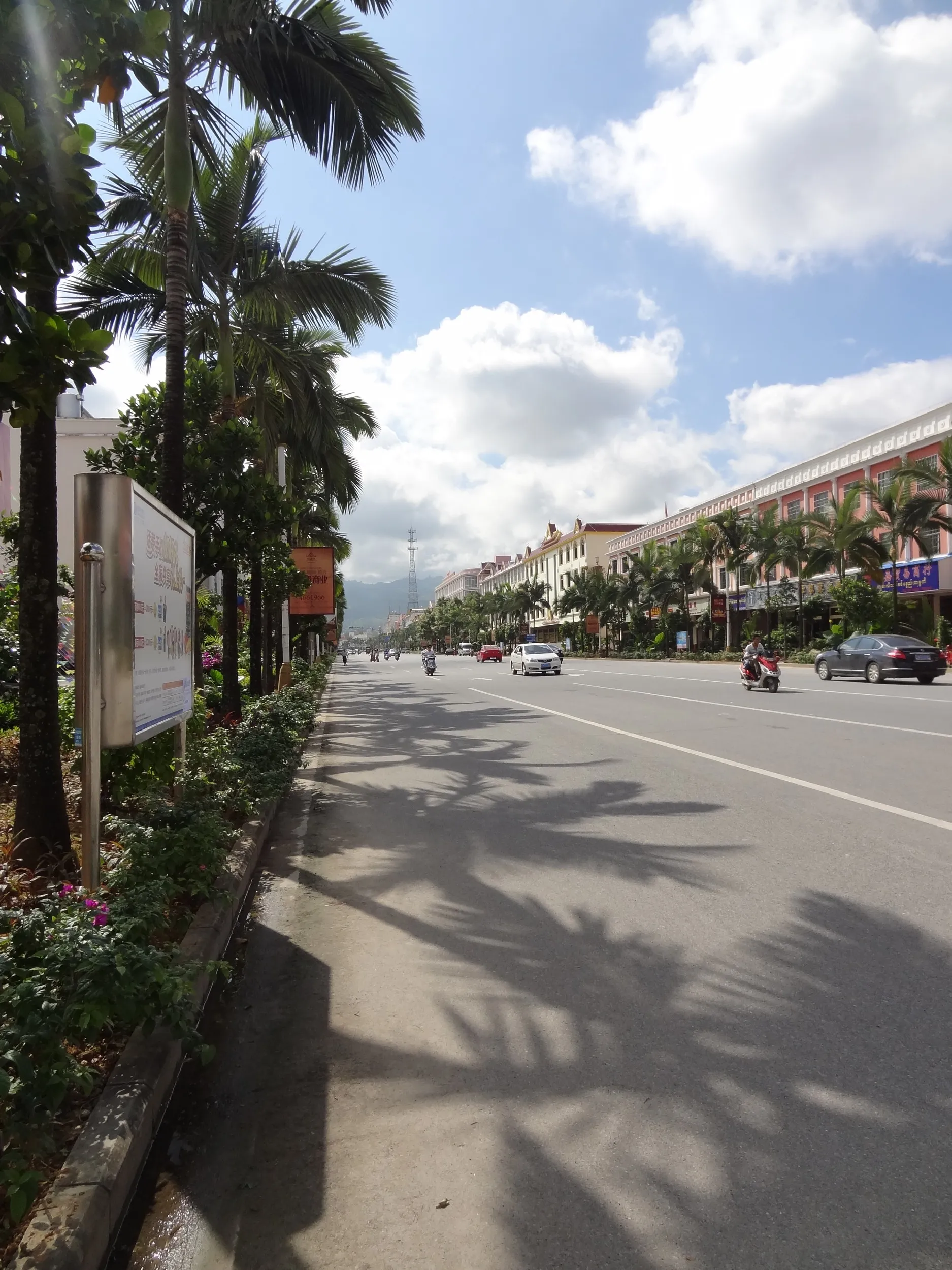 カナリーヤシっぽい南国の街路樹が並ぶ街並