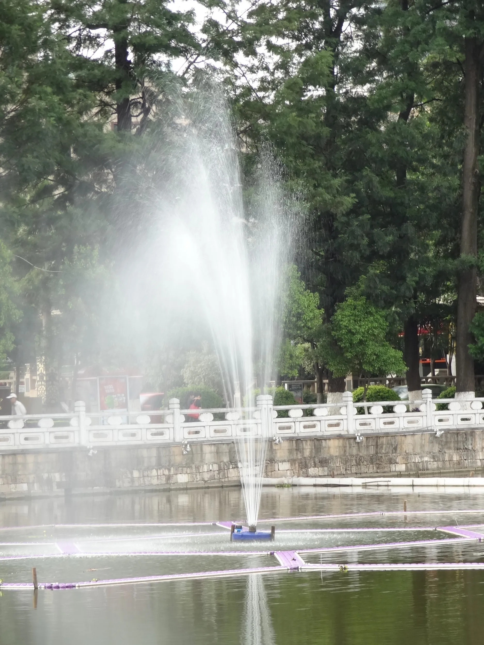 池と噴水