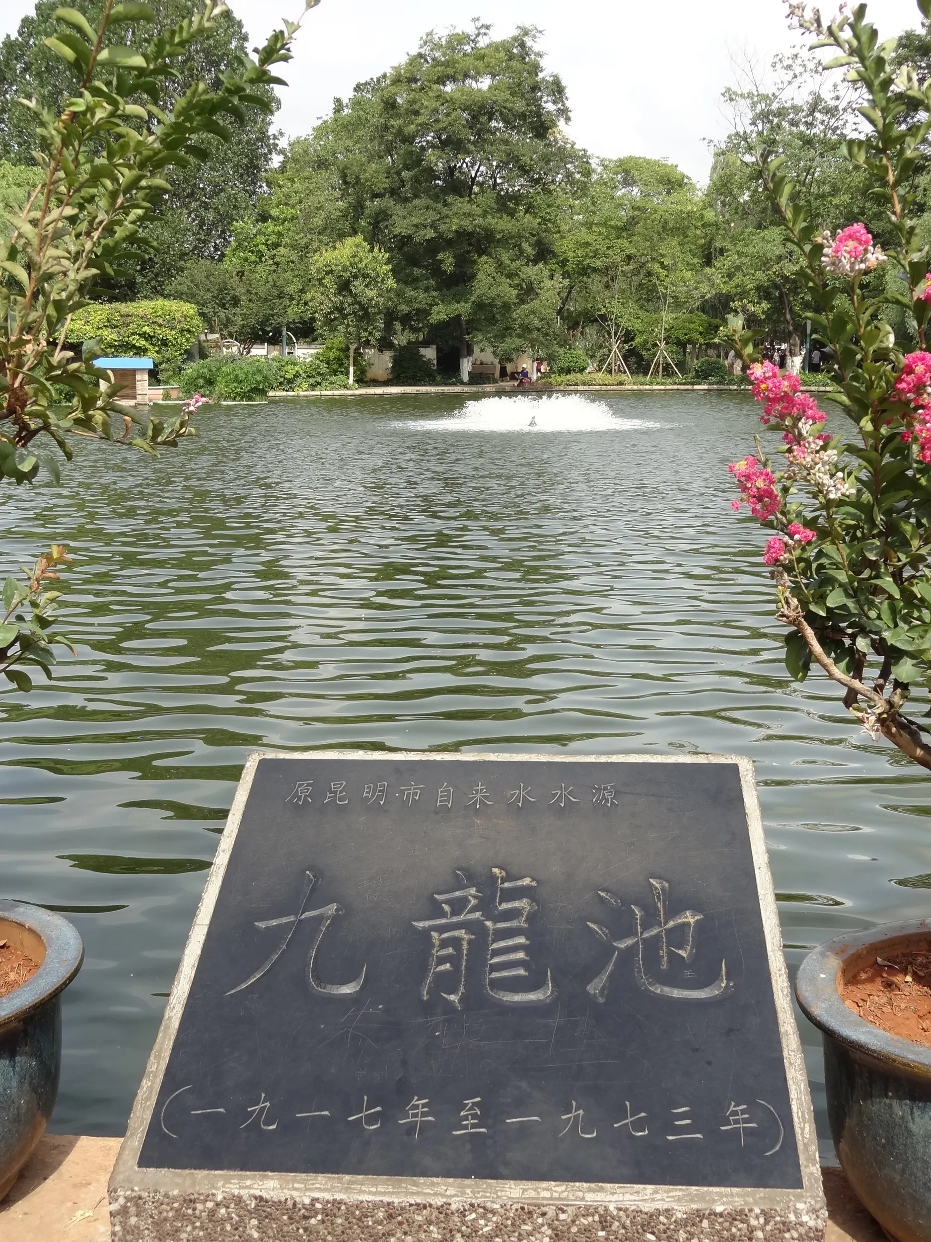 翠湖、九龍池の風景
