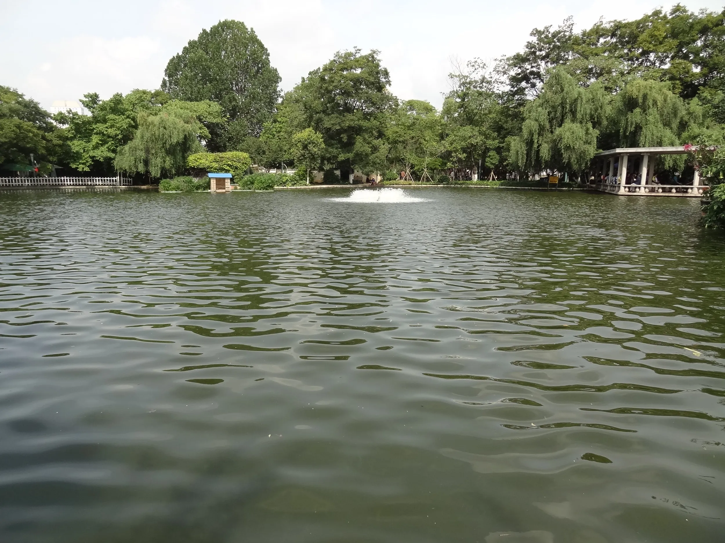 翠湖の湖面