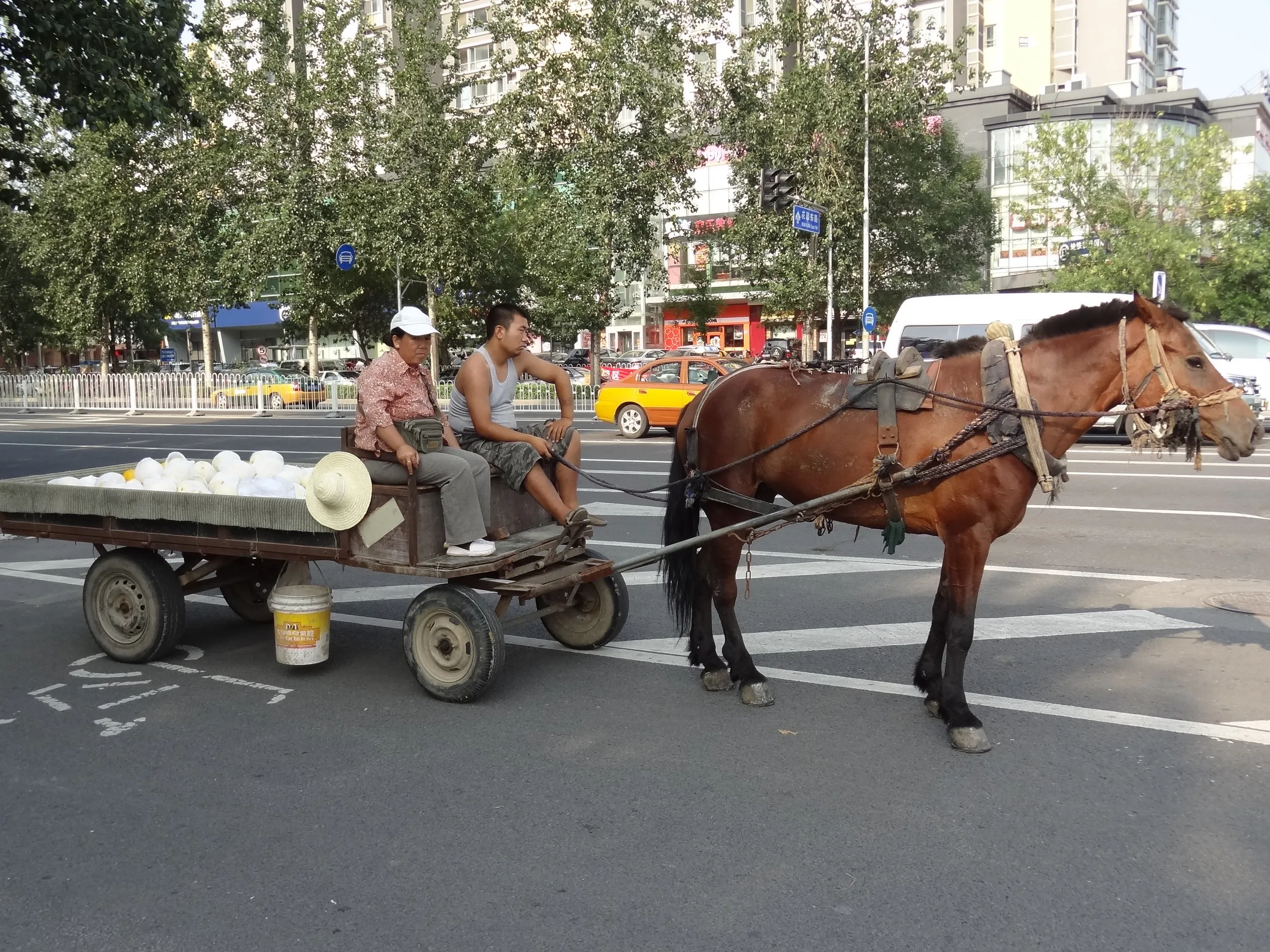 北士城西路で見た馬車